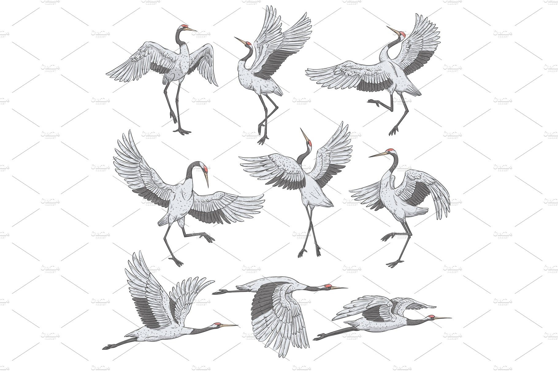 Set of white cranes in different cover image.