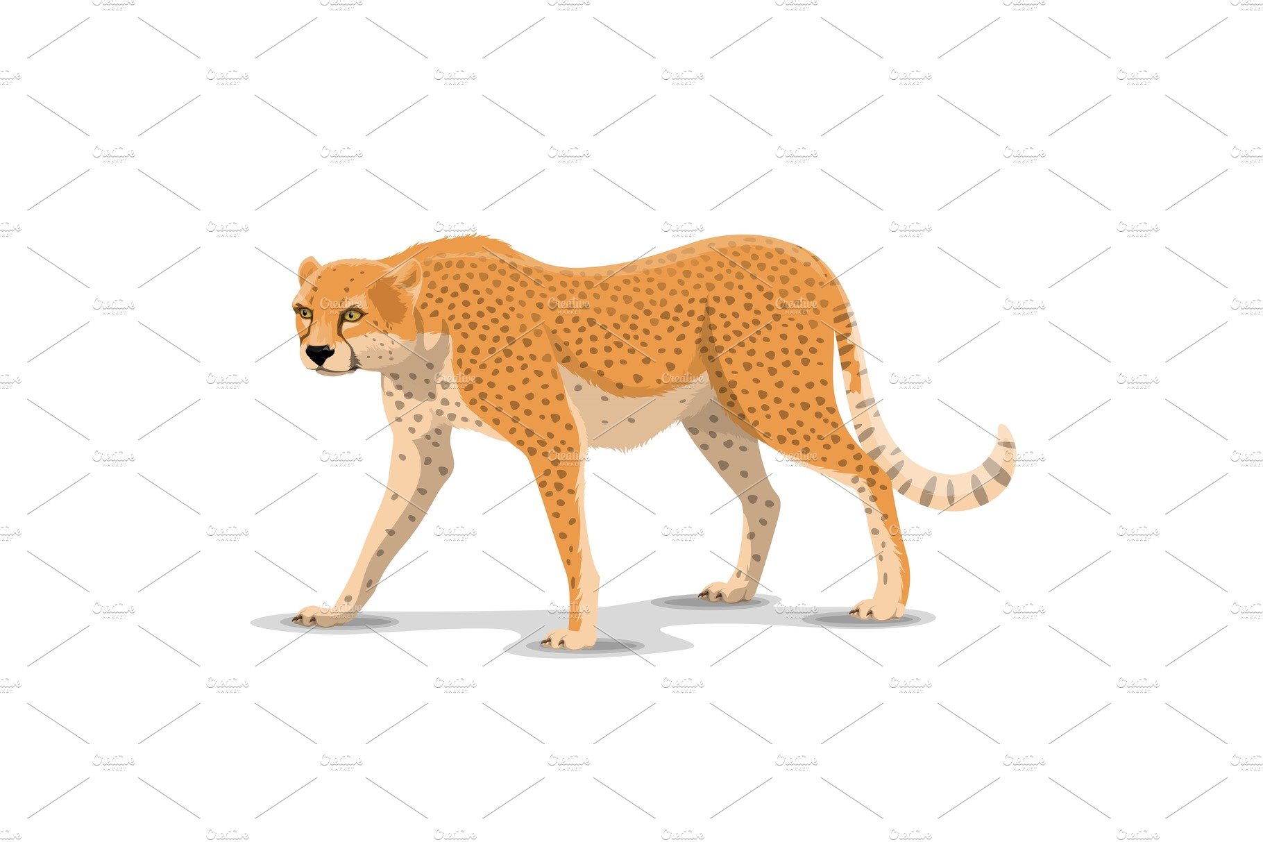 Cartoon cheetah wild animal, vector cover image.