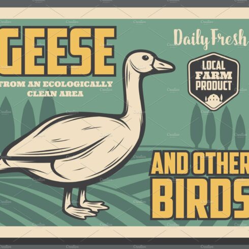 goose birds from farm, retro poster cover image.