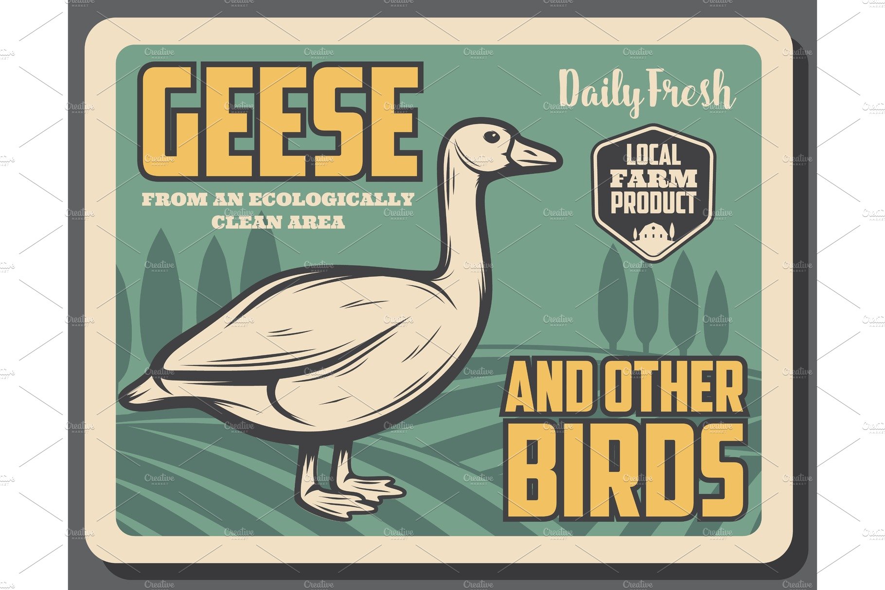 goose birds from farm, retro poster cover image.