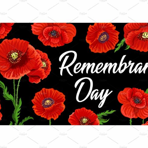 Remembrance day poppy flowers cover image.