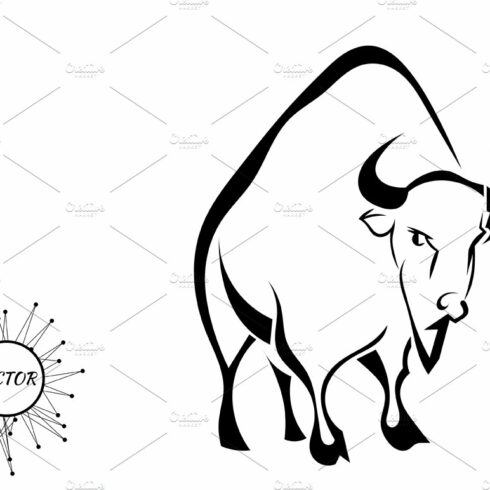 Buffalo isolated on white background cover image.