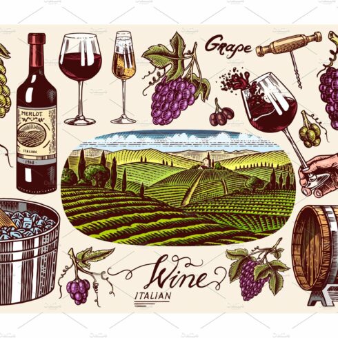 Vineyard and Wine Set cover image.
