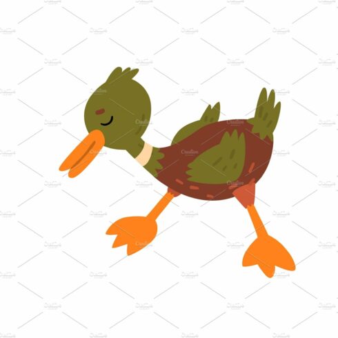 Cute Funny Male Mallard Duckling cover image.
