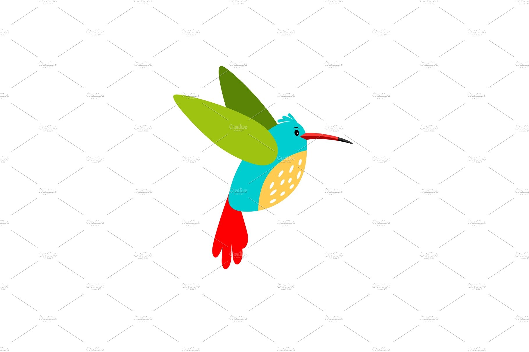 Colibri cartoon bird icon cover image.