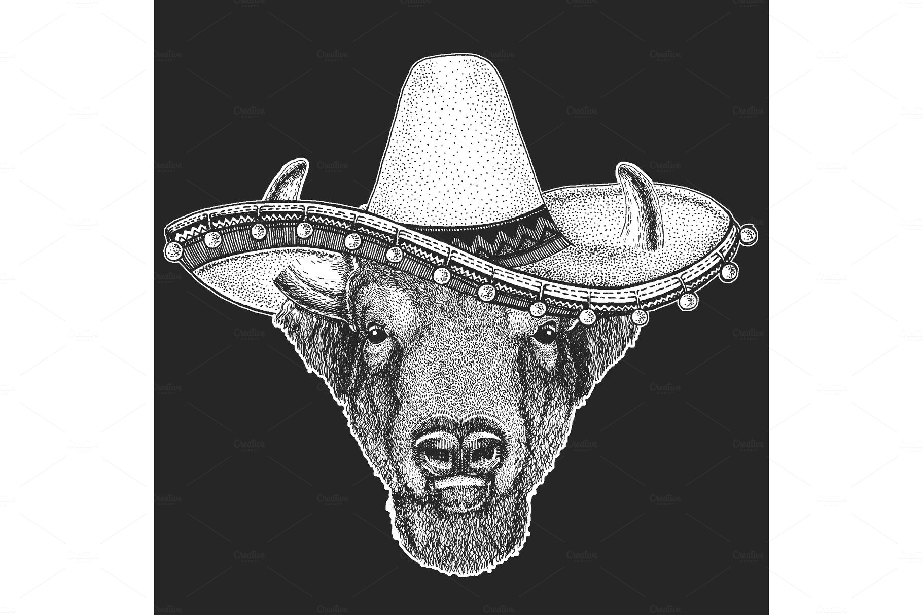 Buffalo, bison, bull head. Sombrero cover image.