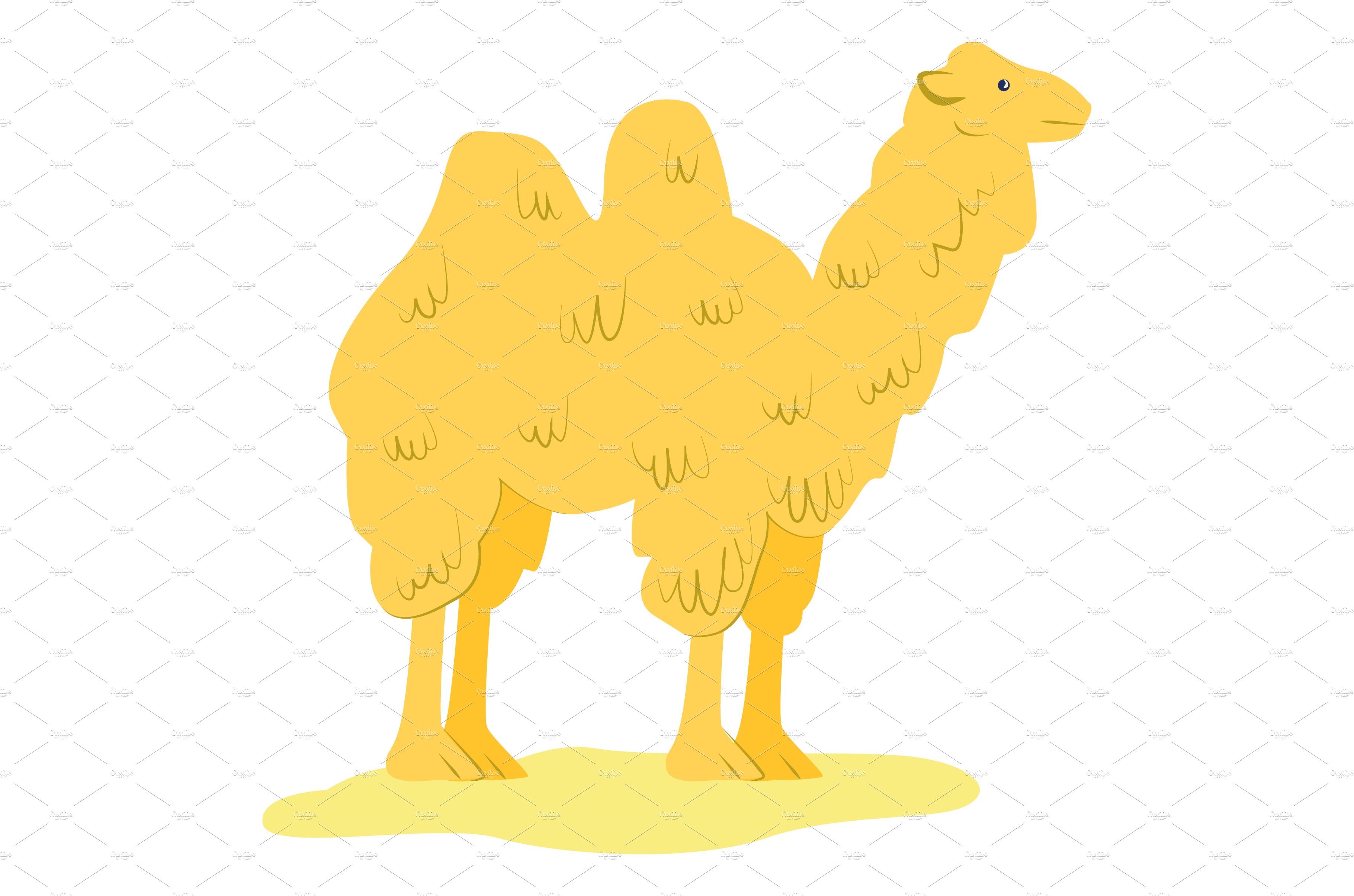 Yellow camel icon standing alone cover image.
