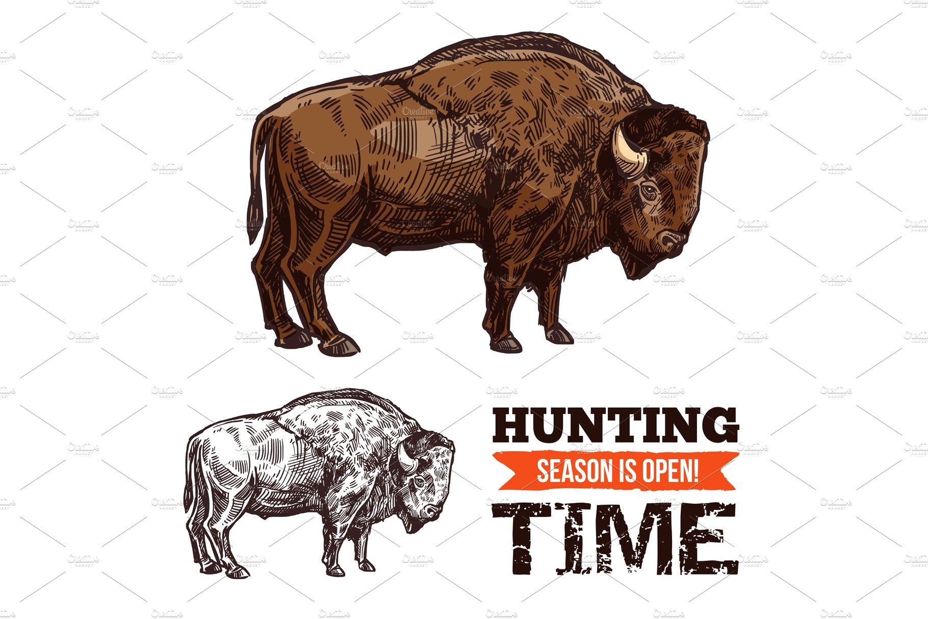 Bison or buffalo animal sketch cover image.