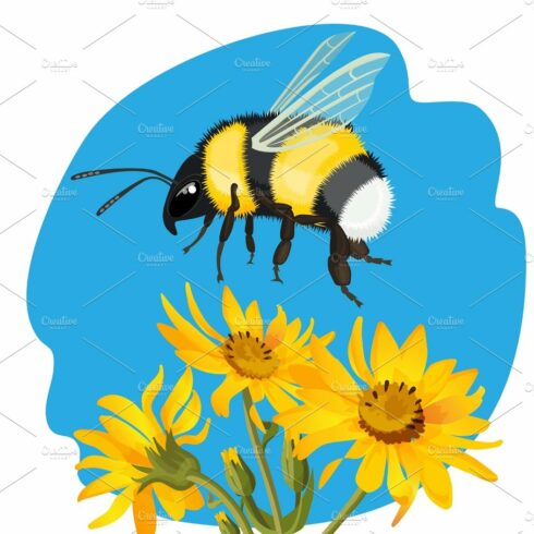 Bumble bee flying over yellow flowers on background of sky cover image.