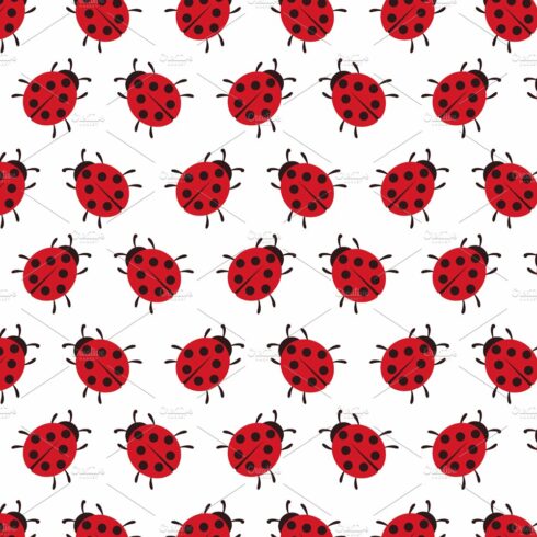Vector background of Ladybug cover image.