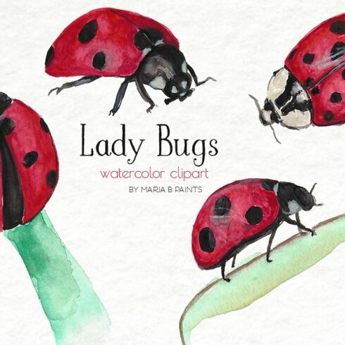Watercolor Clip Art - Lady Bugs cover image.