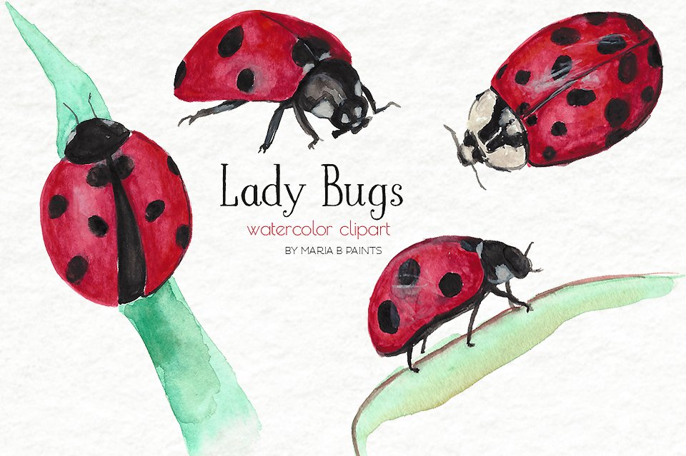 Watercolor Clipart Insect Ladybug Png Graphic by