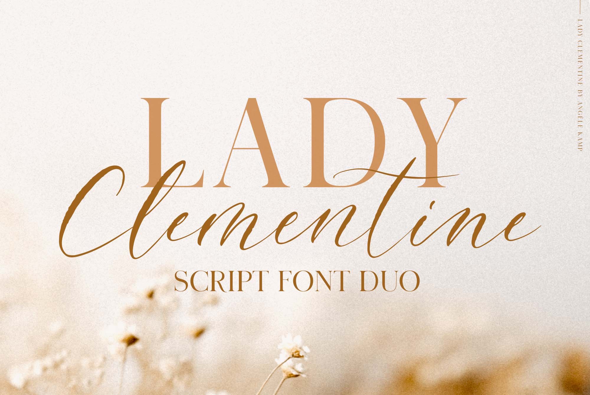 Lady Clementine script font & serif cover image.