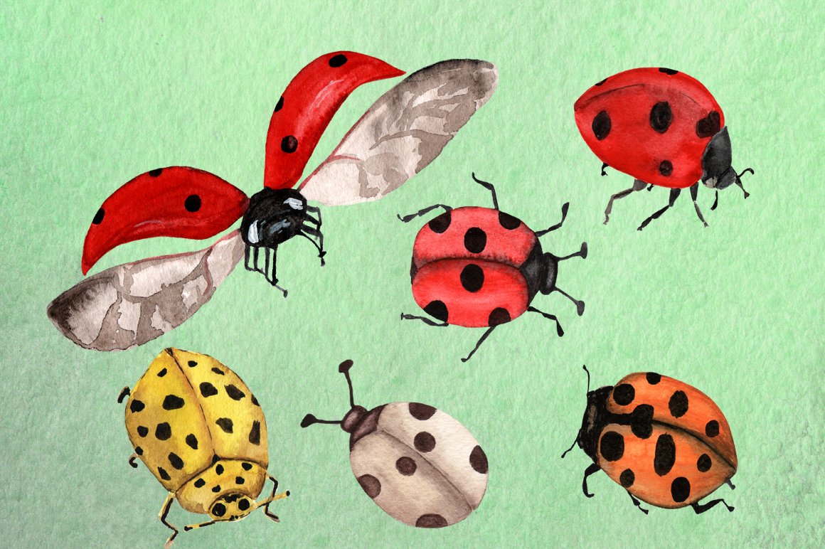 Watercolor Ladybugs Clip Art preview image.