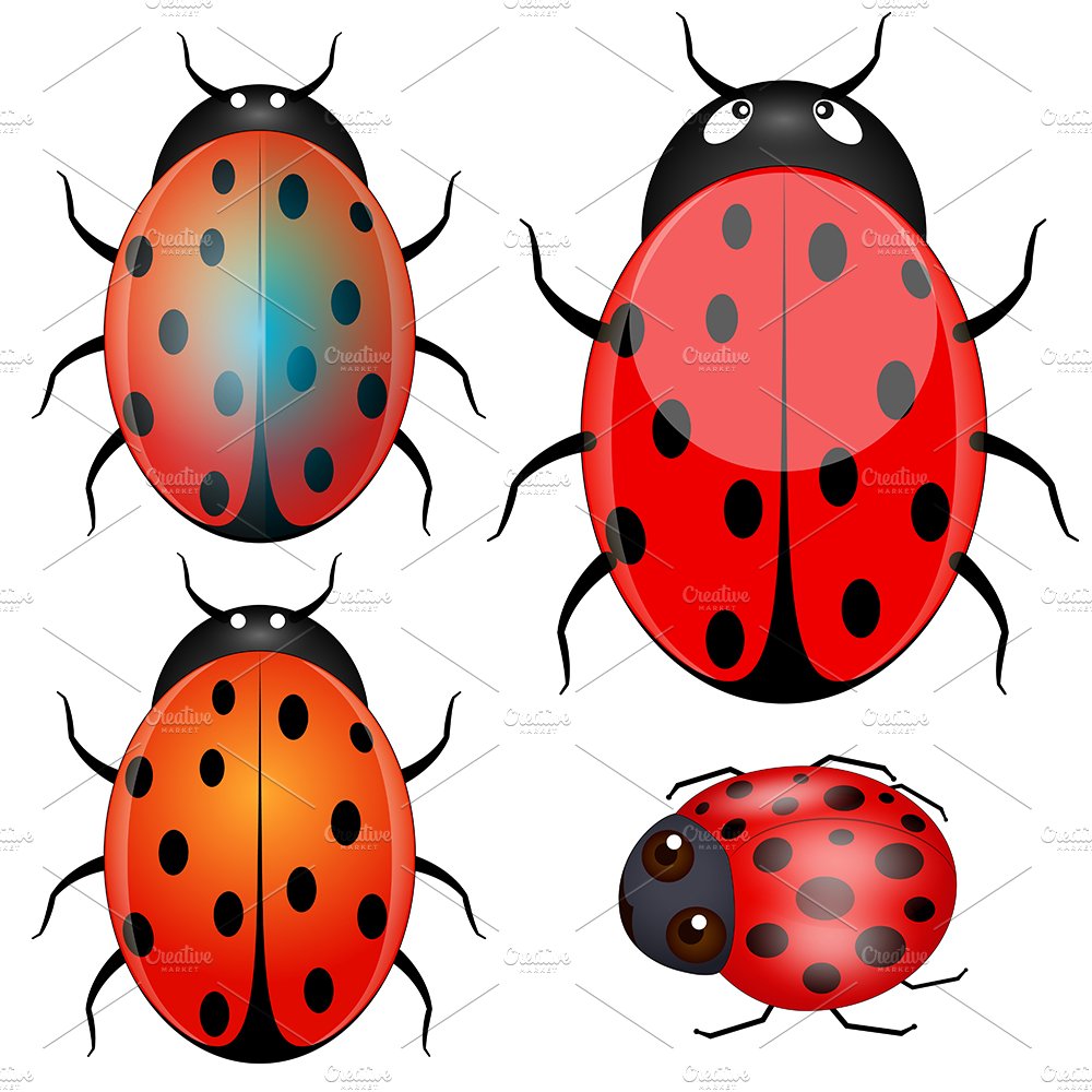 lady bug Vector PNG Image