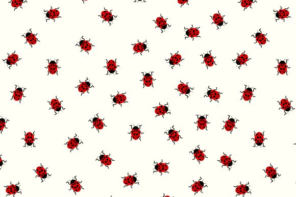 Ladybug pattern cover image.
