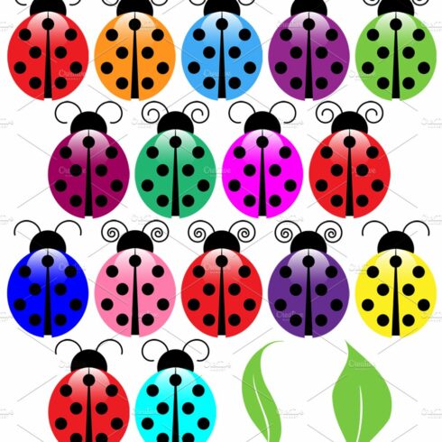 Ladybugs Vectors and Clipart cover image.