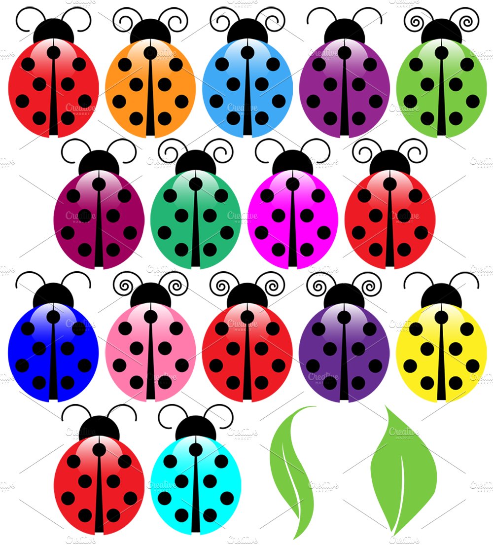 Ladybugs Vectors and Clipart cover image.