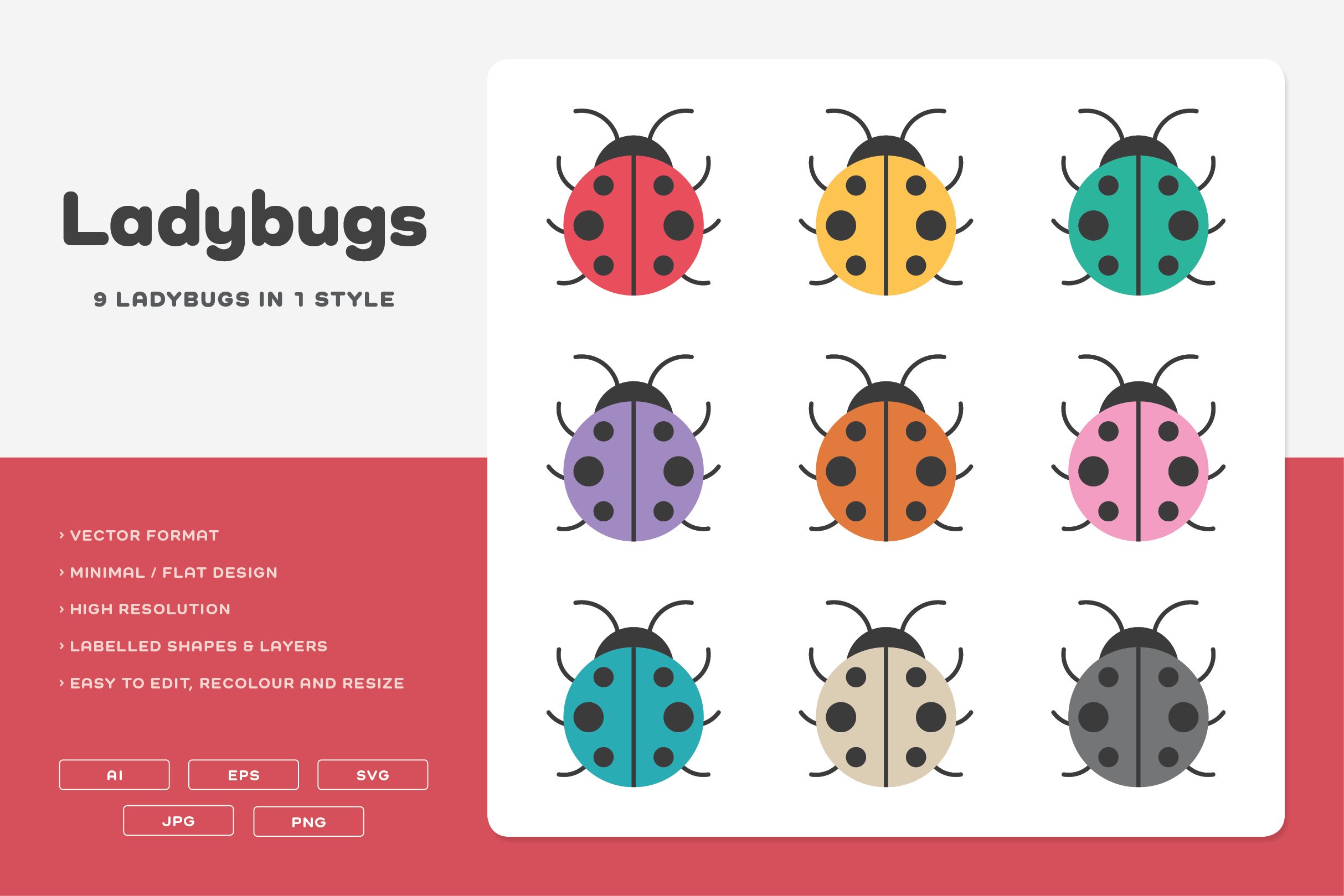 Ladybugs cover image.