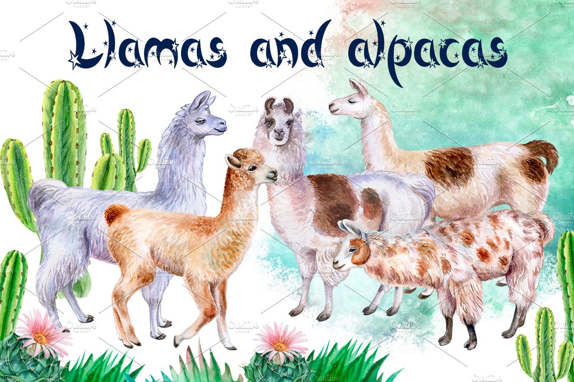 Llamas and alpacas. Watercolor. cover image.