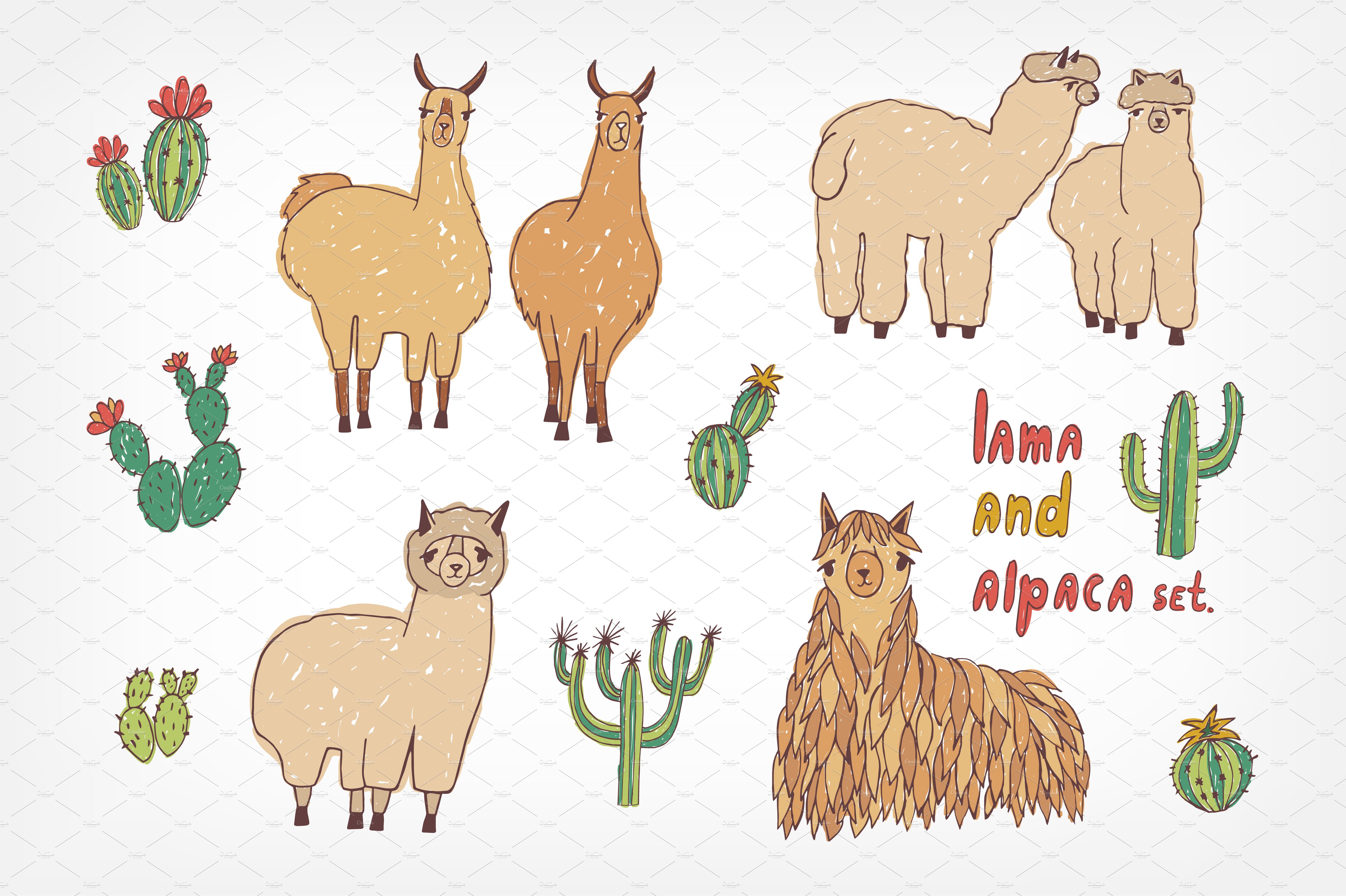 Cute lama, alpaca and cactuses cover image.