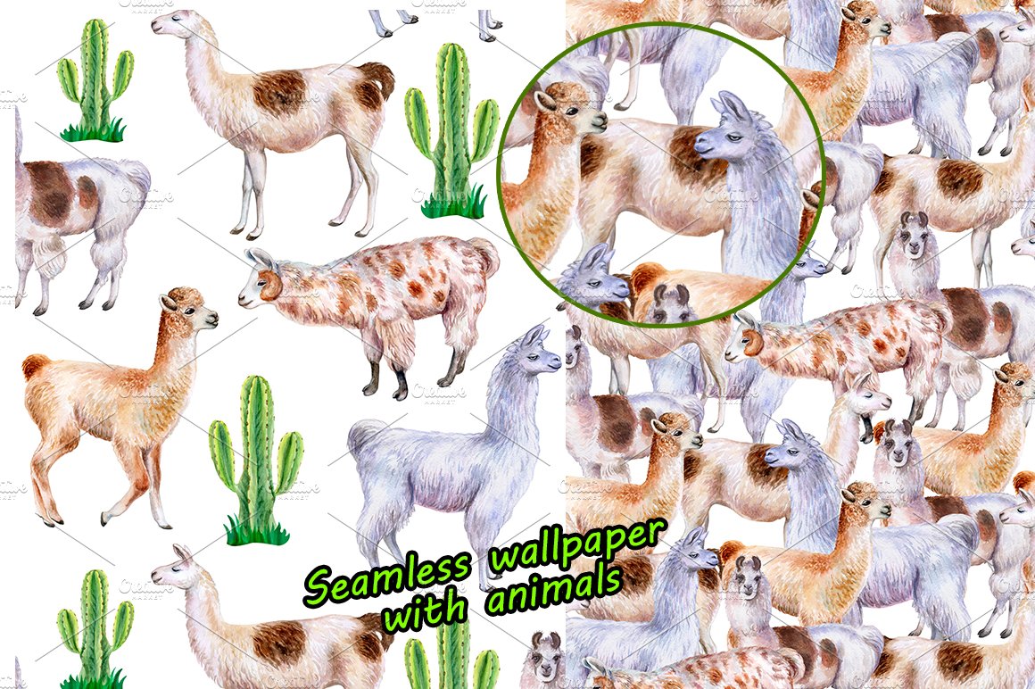 Llamas and alpacas. Watercolor. preview image.