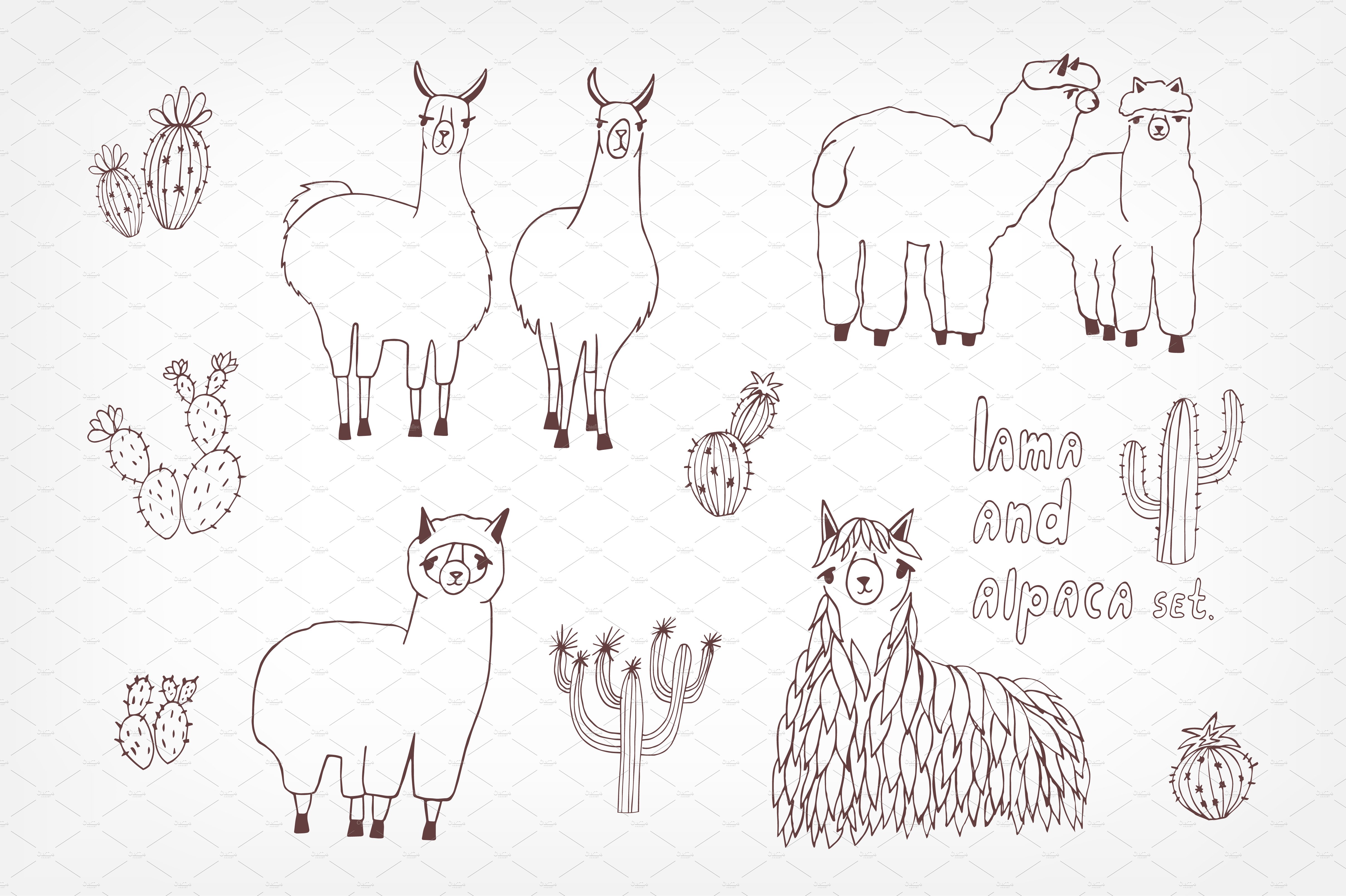 Cute lama, alpaca and cactuses preview image.