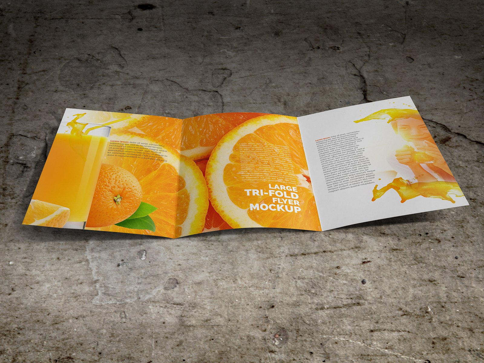 large trifold brochure mockup 05 703