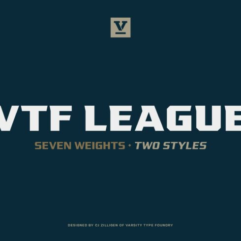 VTF League Family cover image.