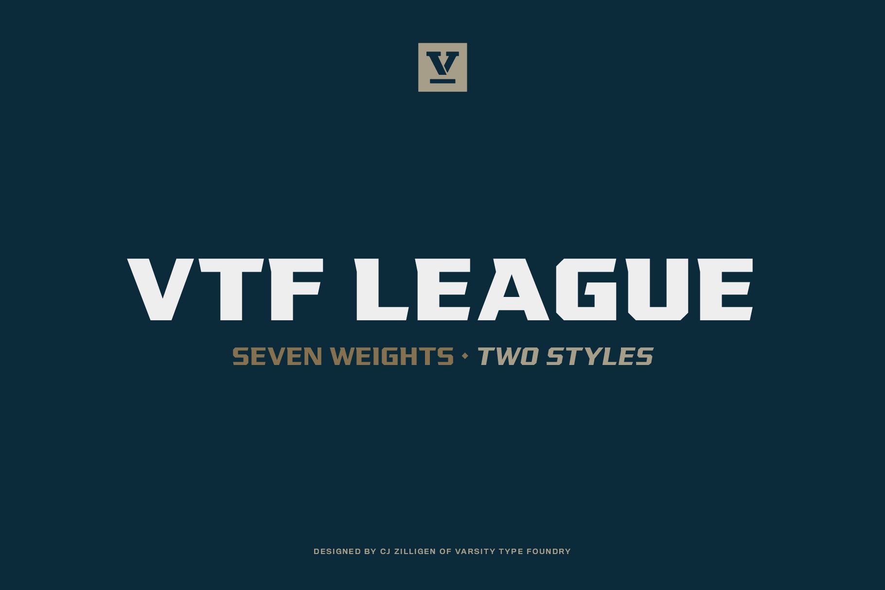 VTF League Family cover image.