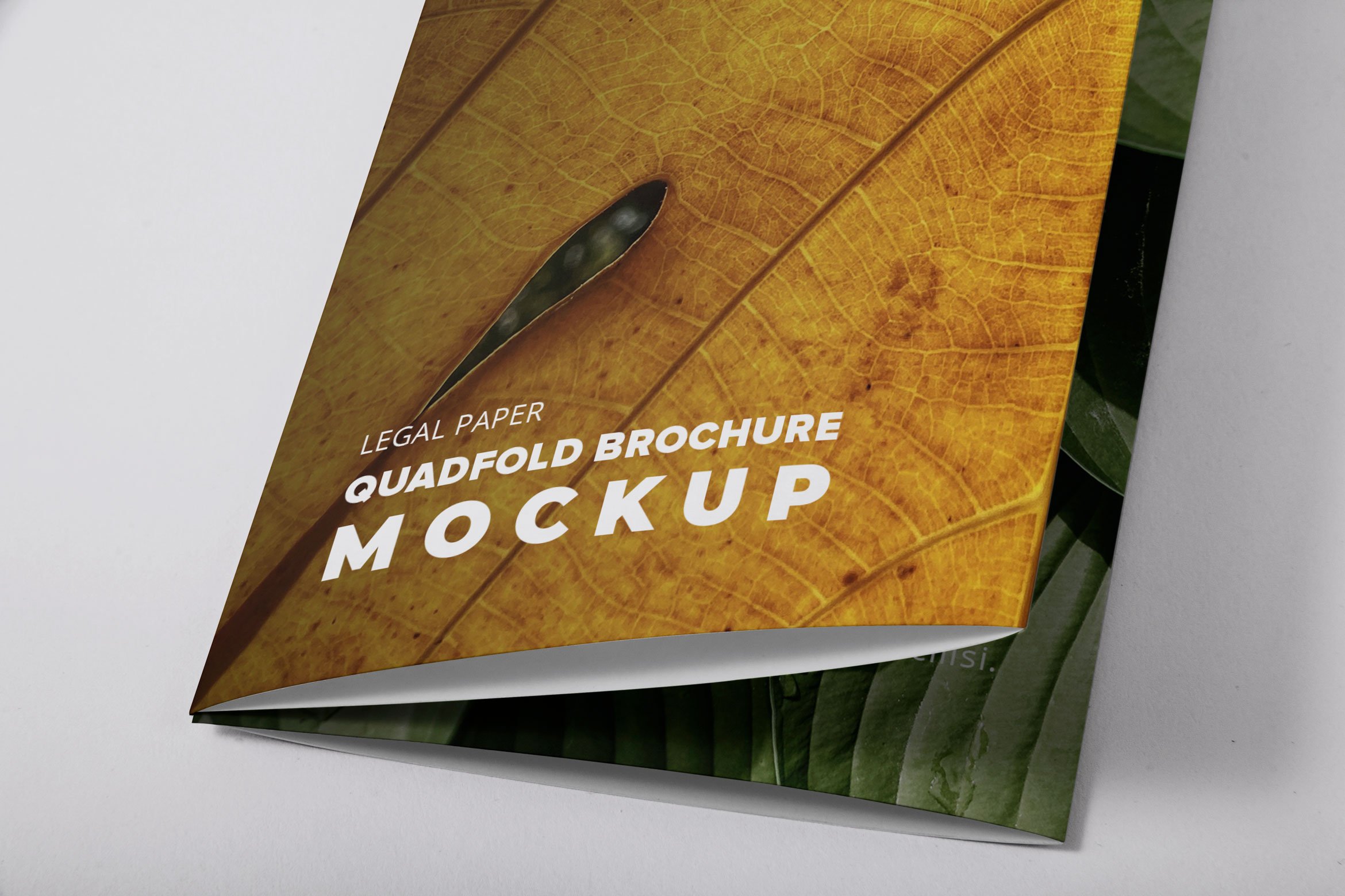 legal quadfold brochure 3 01 152
