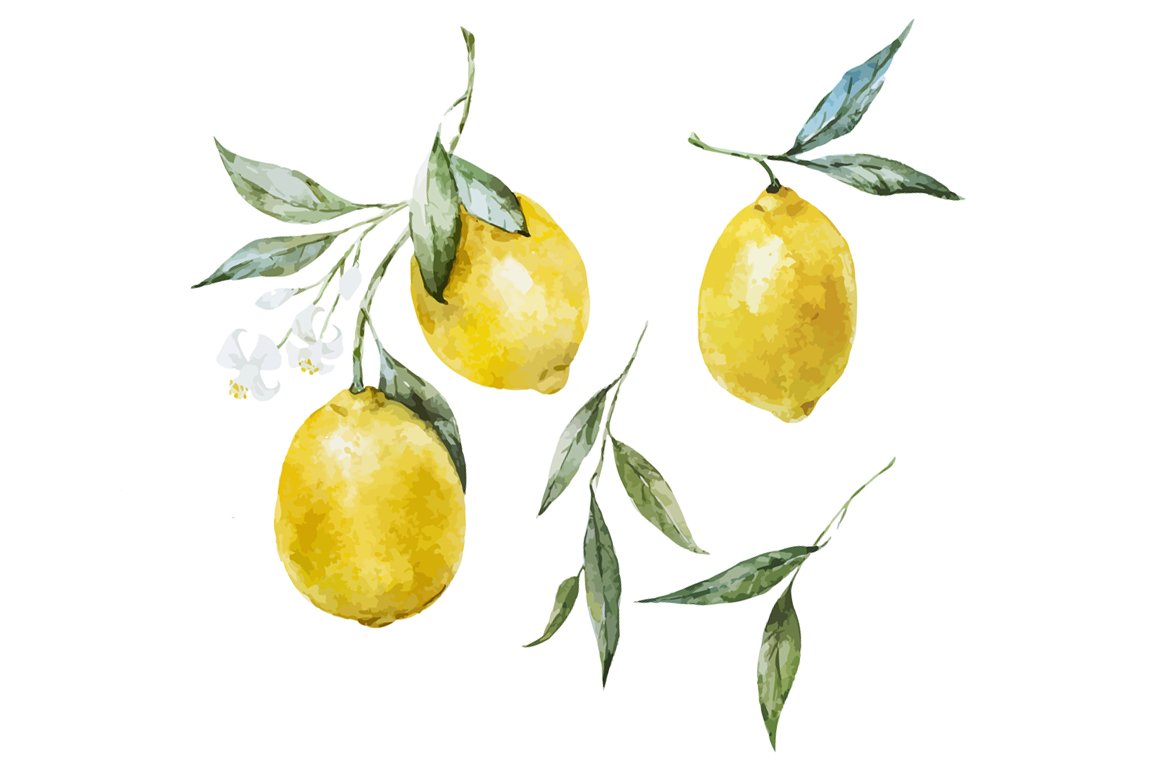 lemons1 675