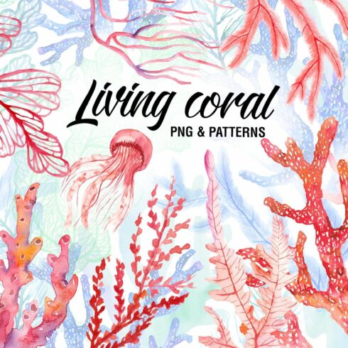 Living coral cover image.