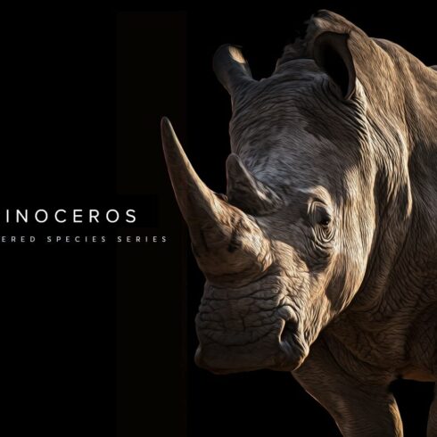 Endangered Rhinoceros Illustration cover image.