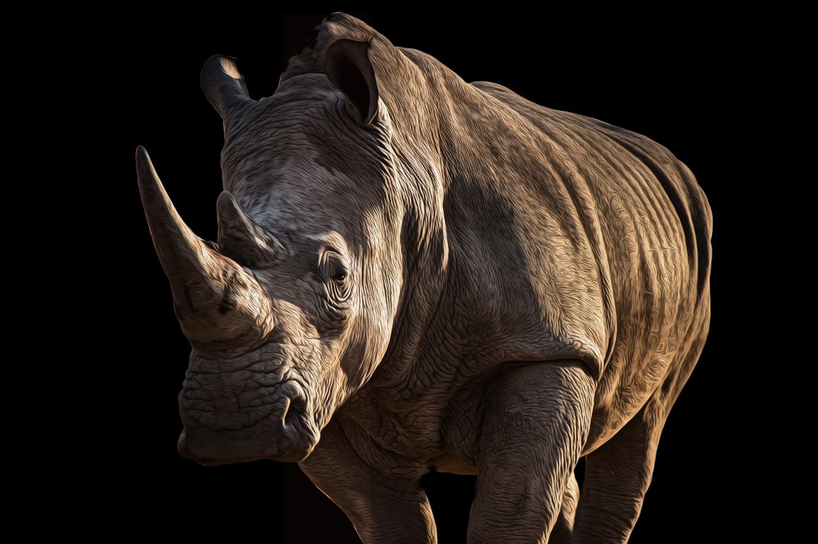 Endangered Rhinoceros Illustration preview image.