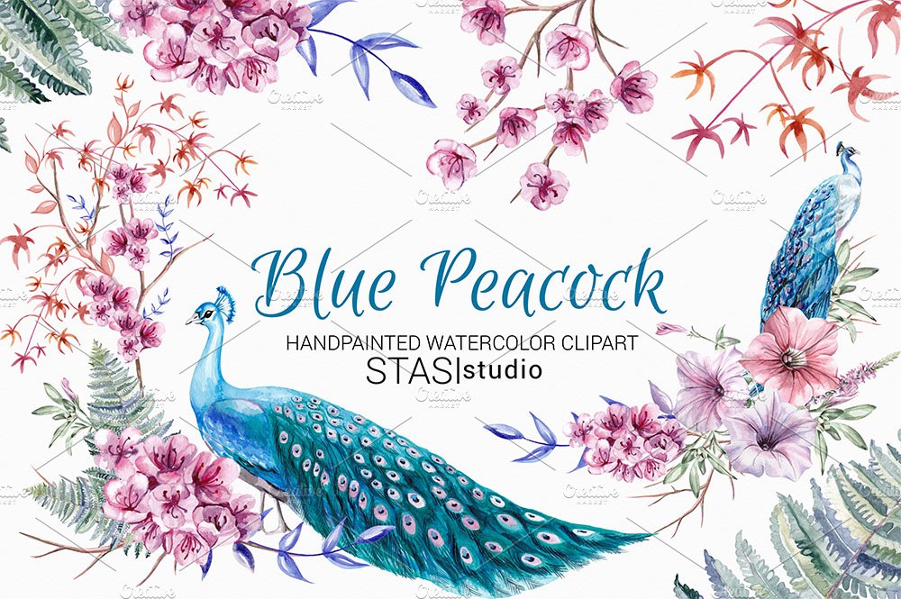 Blue Peacock Watercolor Clipart cover image.