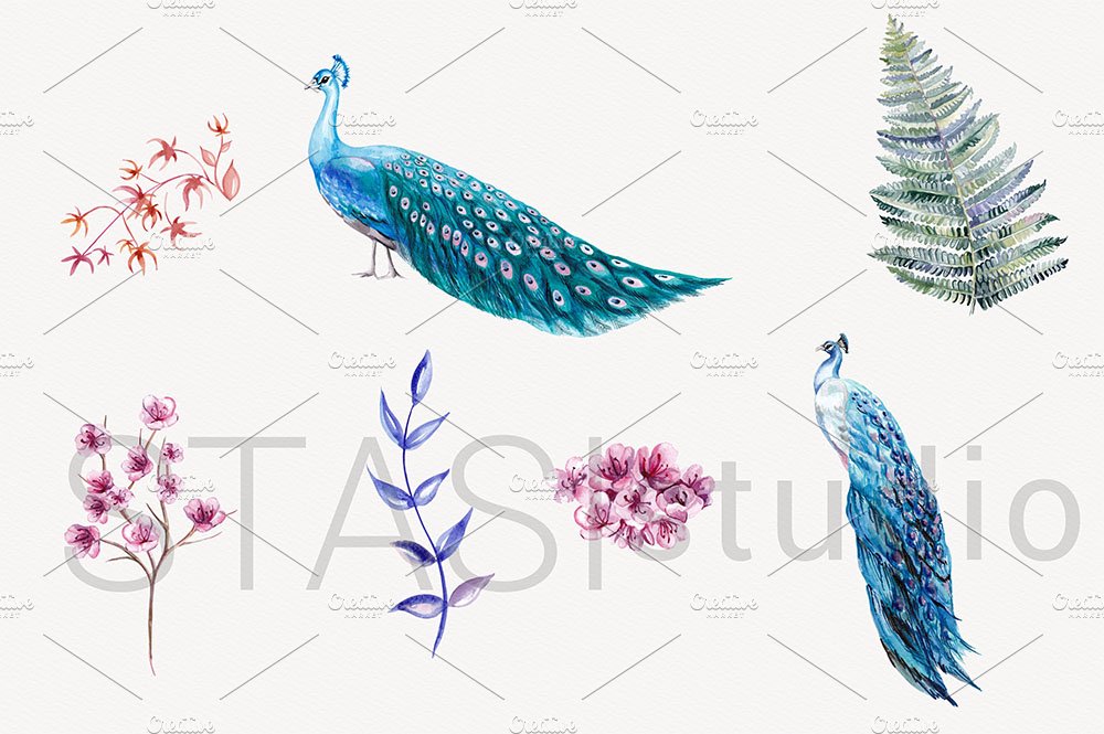 Blue Peacock Watercolor Clipart preview image.