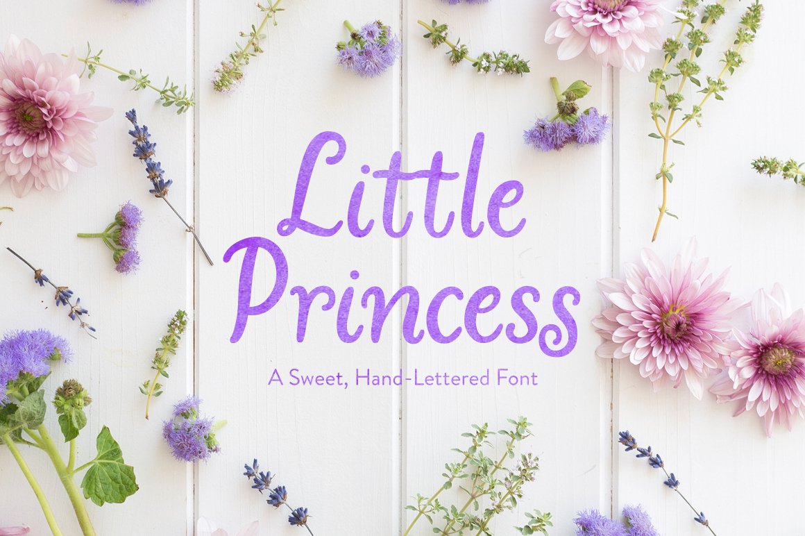 Little Princess cover image.