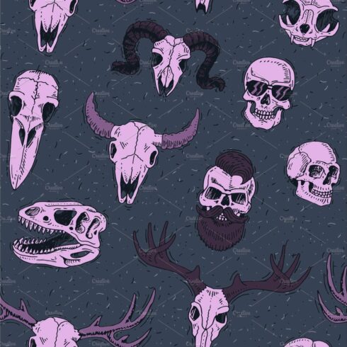 Skulls vector boned head of animals cover image.