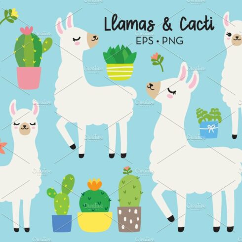 Llamas and Cacti Illustration Set cover image.