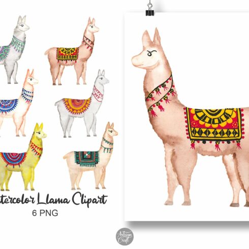Llama watercolor clipart cover image.