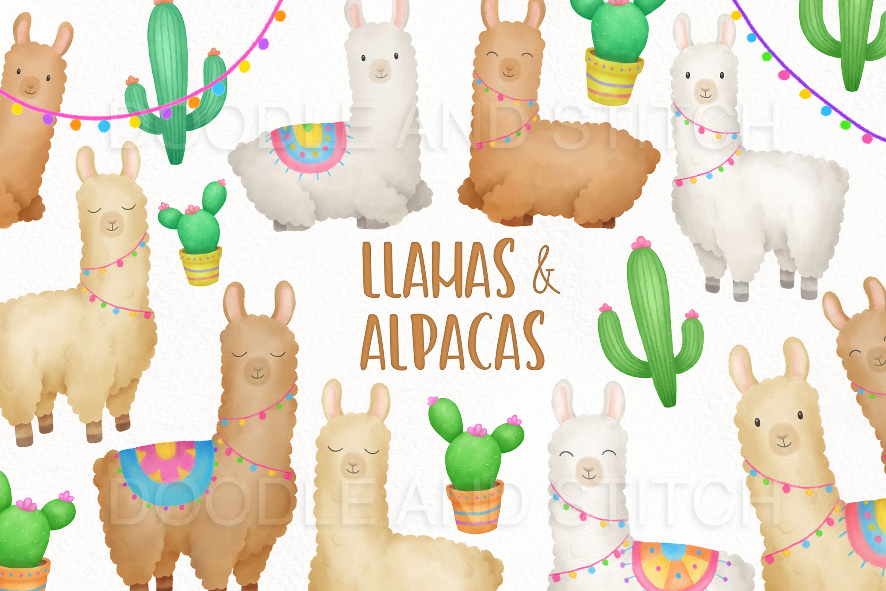 Llama and Alpacas Illustrations cover image.