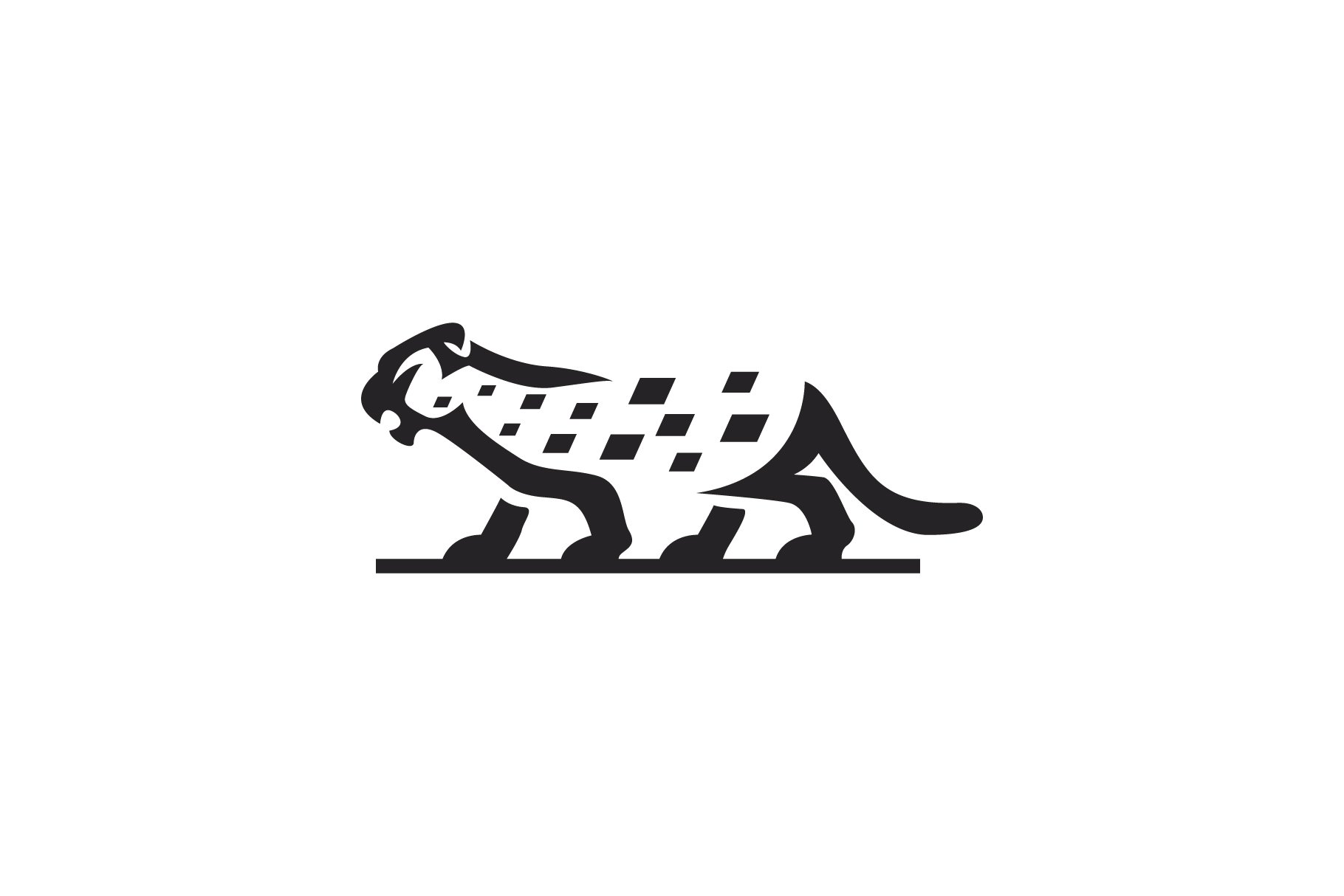 leopard logo cover image.