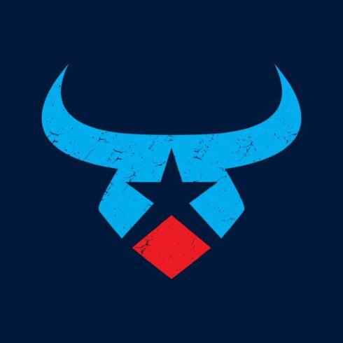 bull star logo cover image.