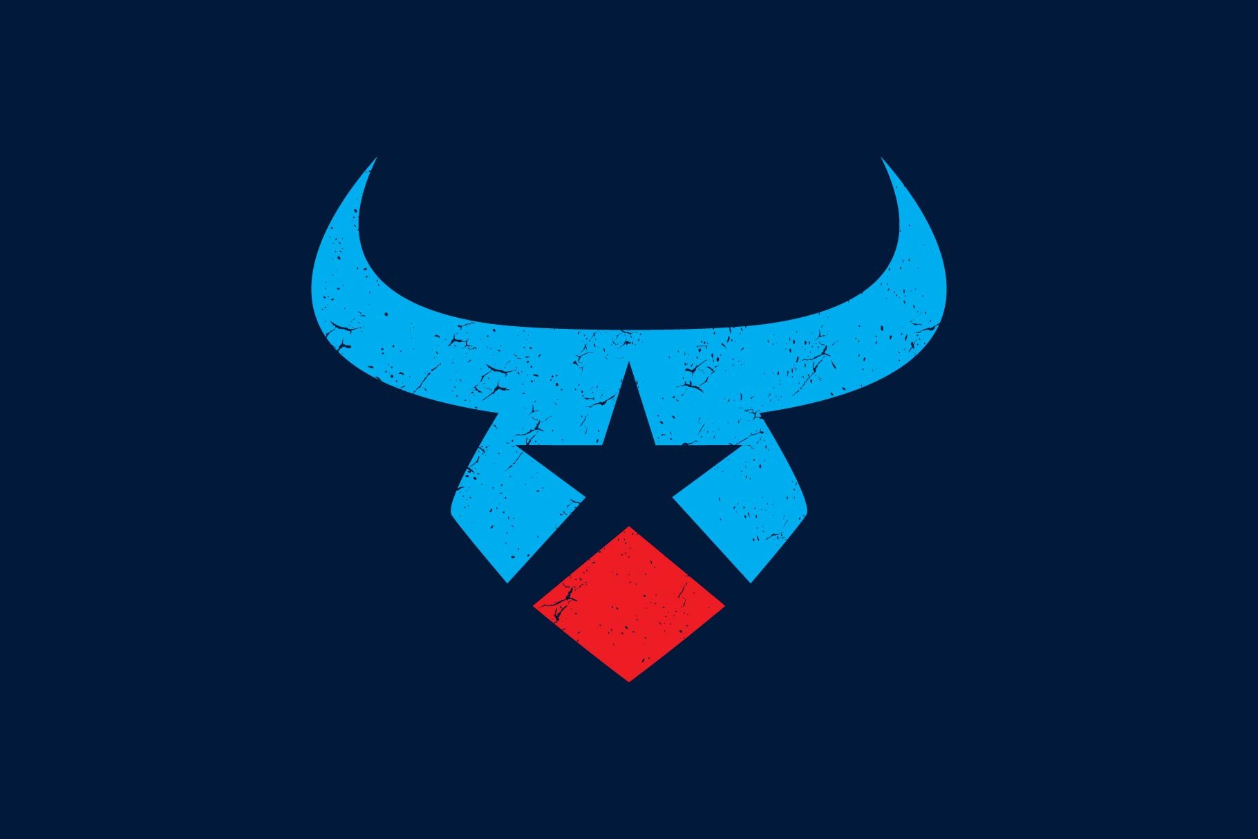 bull star logo cover image.