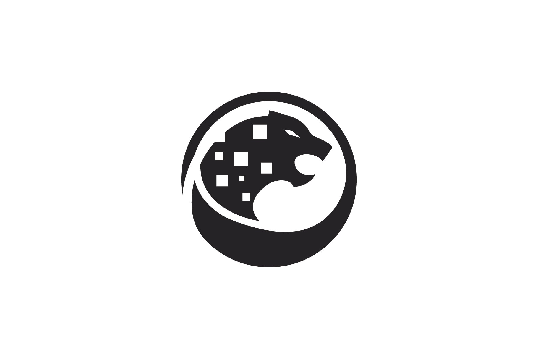 leopard solution logo cover image.