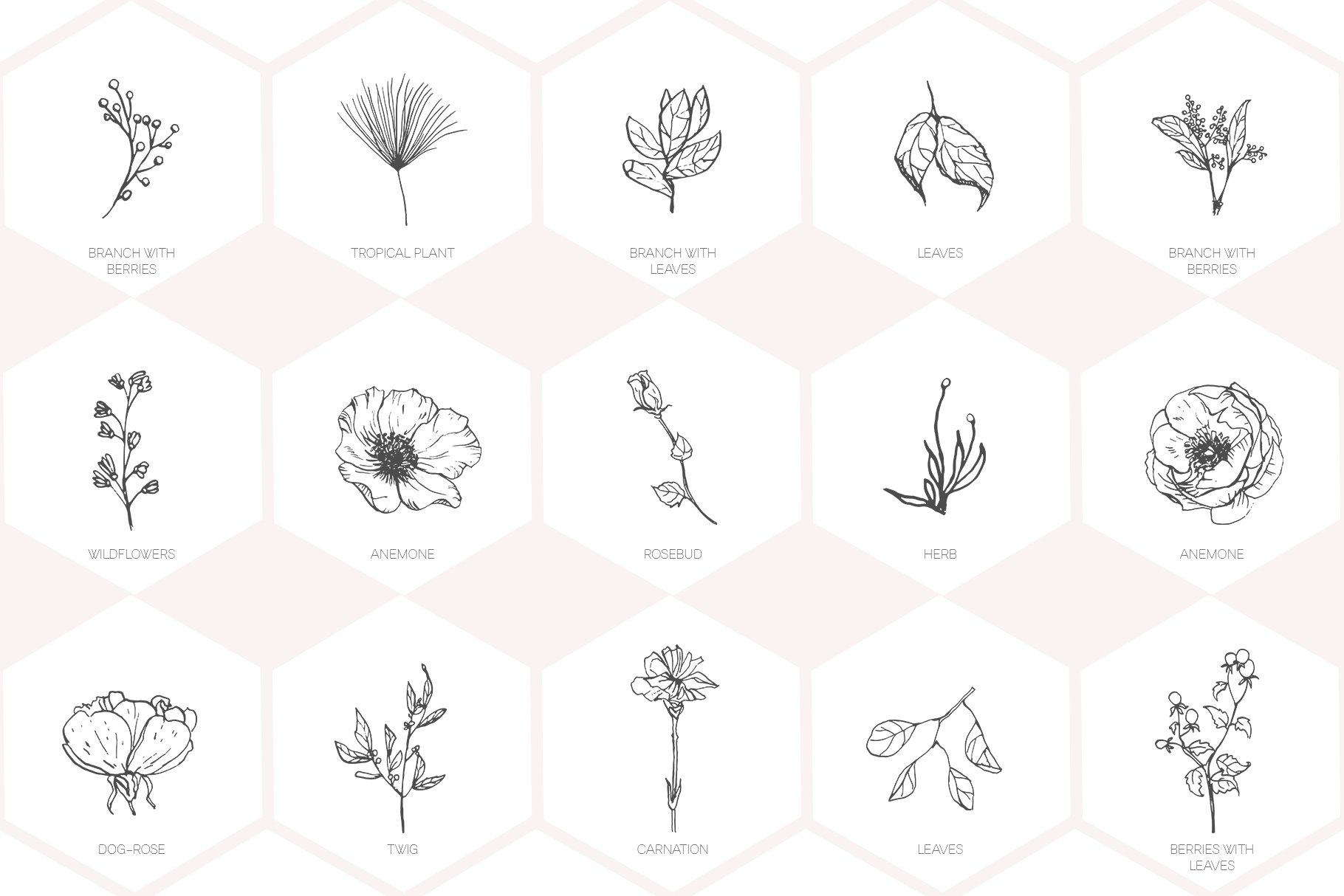 Hand drawn floral logo elements preview image.