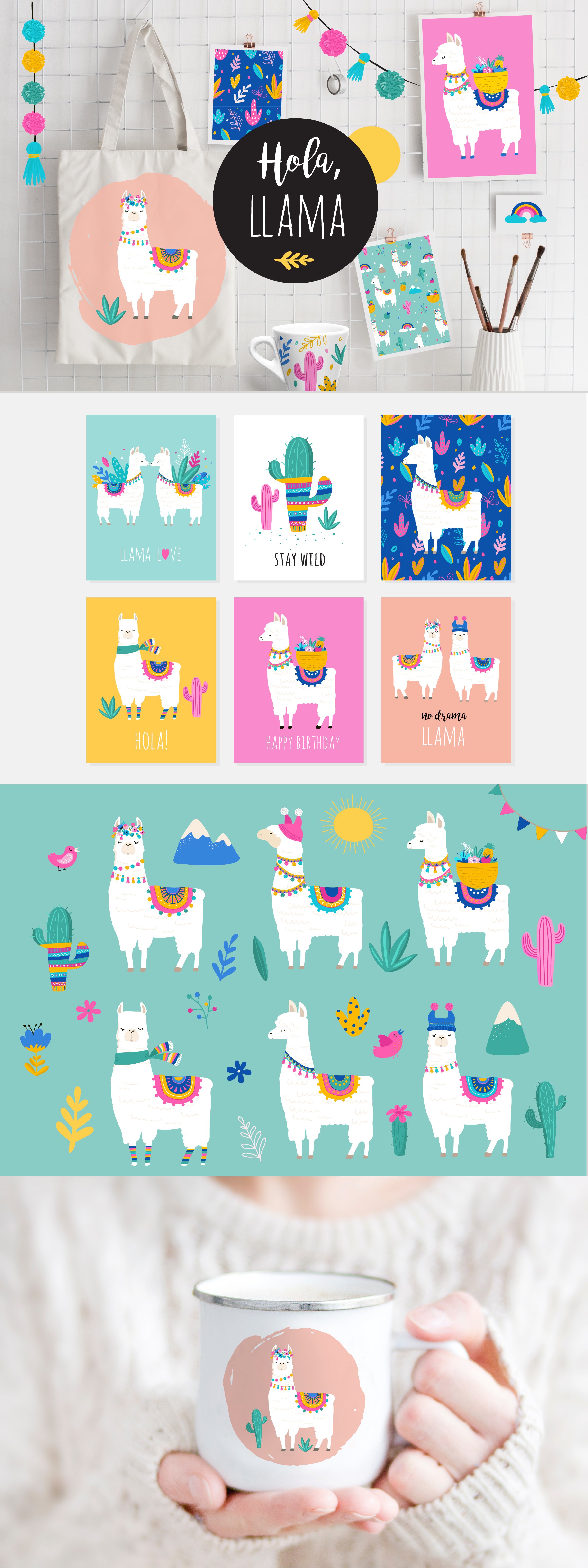 Hola, Llama! Cute summer collection cover image.