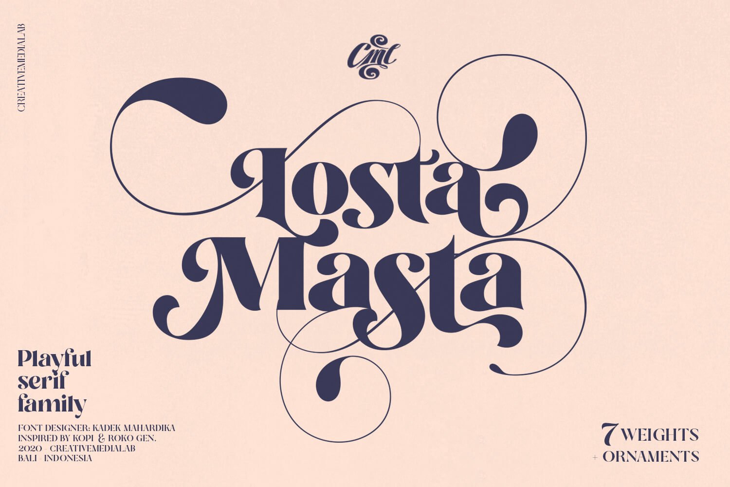 Losta Masta - Playful Serif Family cover image.