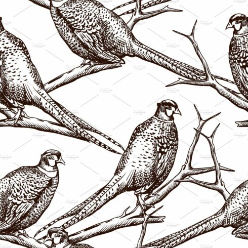 Seamless pattern with pheasants. cover image.